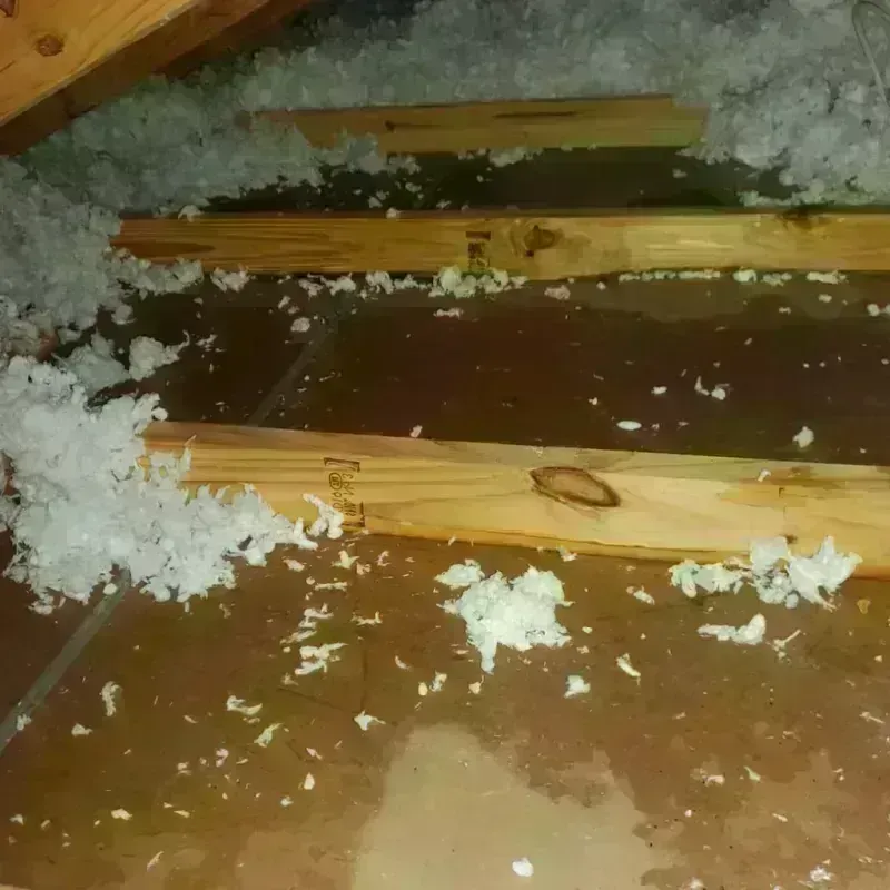 Attic Water Damage in Marfa, TX